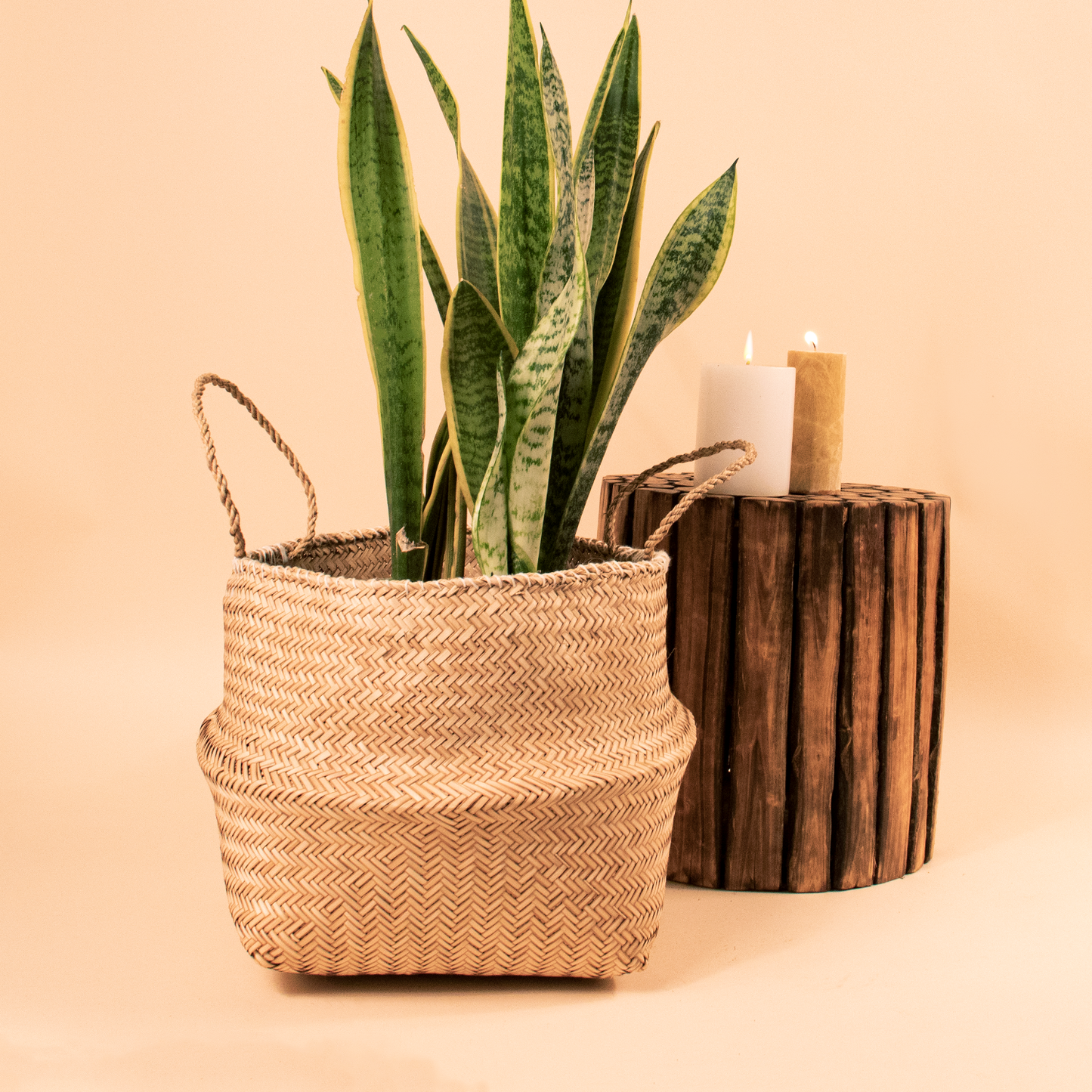basket planter